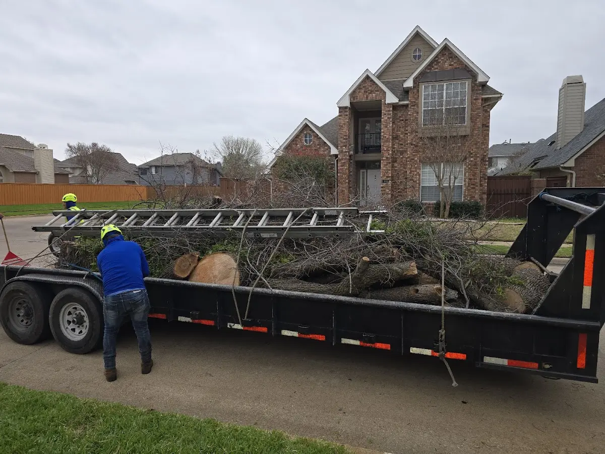 Expert Tree Fertilization with proper safety equipment in Massapequa